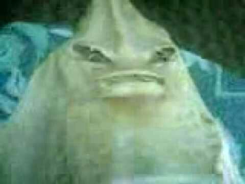 Gambar - Gambar Menyesatkan Yg Ada Di Internet