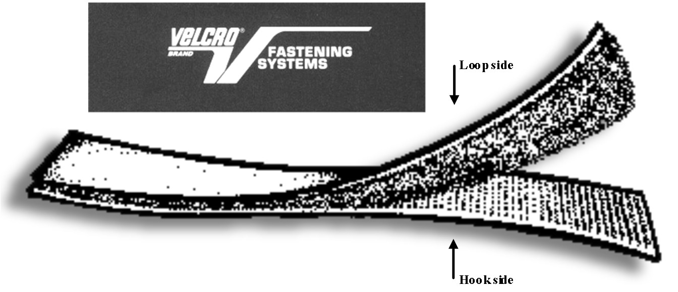 vxKT8.jpg