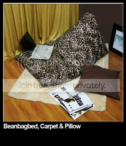 BeanbagbedTigerbydp.jpg