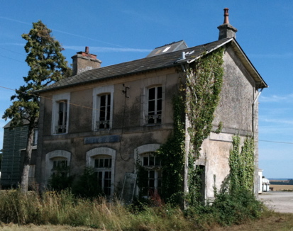 exg8F.jpg
