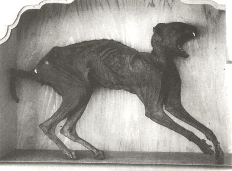 monster_mummy_7.jpg