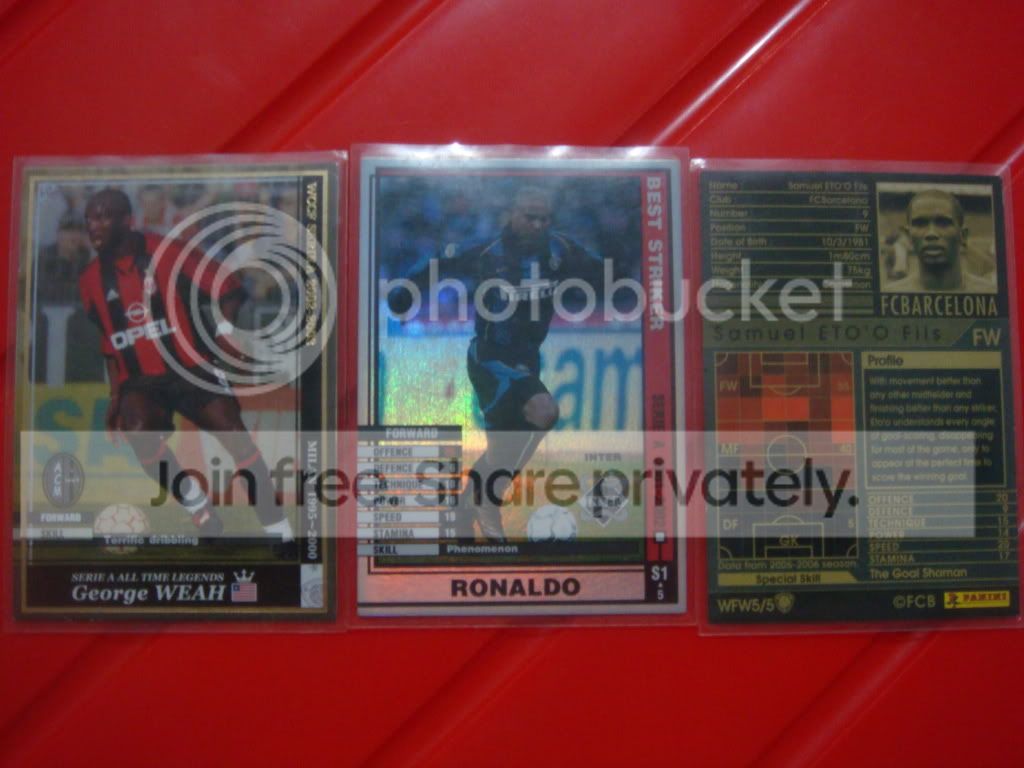 DSC02531.jpg