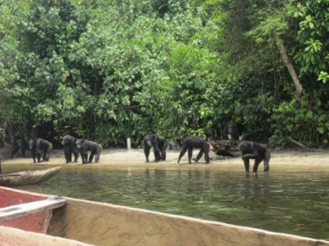 oKl1z.jpg