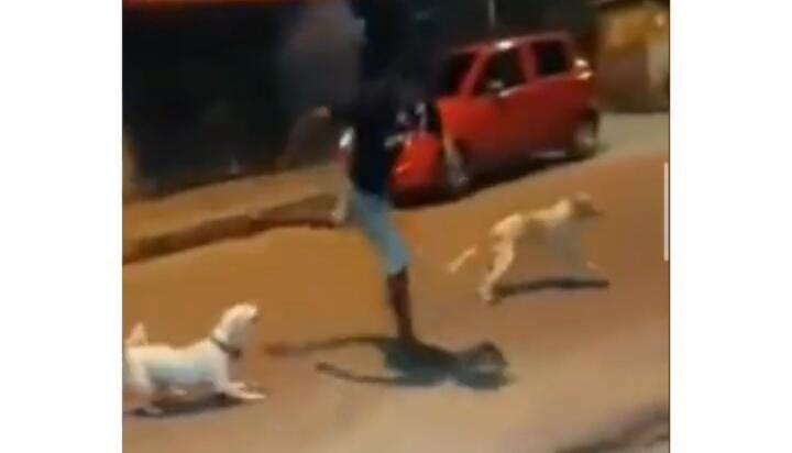 Video Tutorial Menghindari Kejaran Anjing yg Dipertanyakan! Netizen; Yakin Aman?