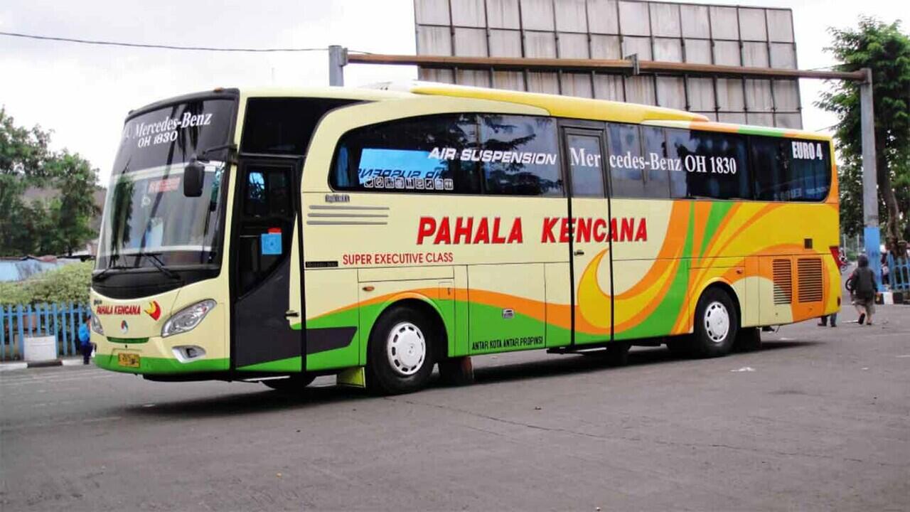 Pahala Kencana, Kuda Kencana Asal Muria Raya
