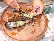 180px-Pearl_Oysters.jpg