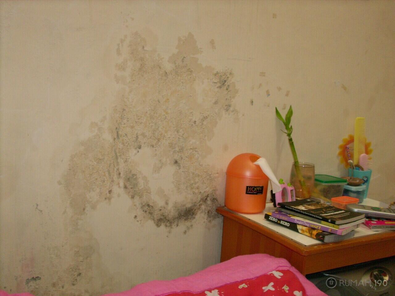 Kenapa Sih Tembok Rumah Buluk?