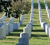 C359N.jpg
