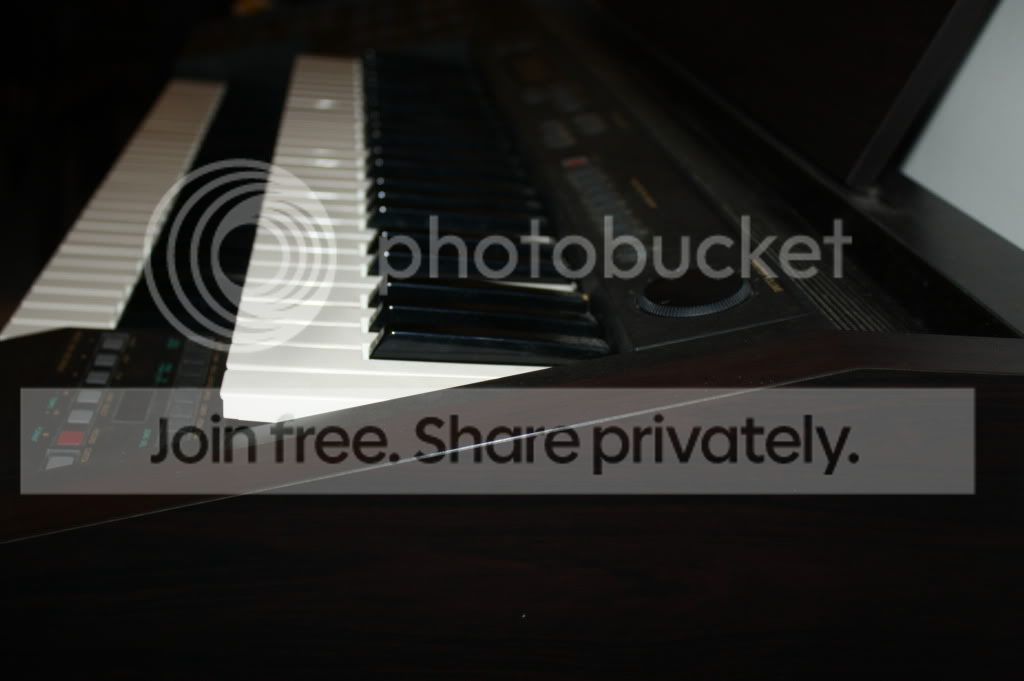IMG_2421.jpg