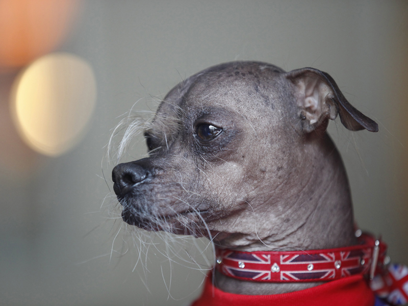 TpqRn.jpg