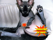 4d917011606558.gif