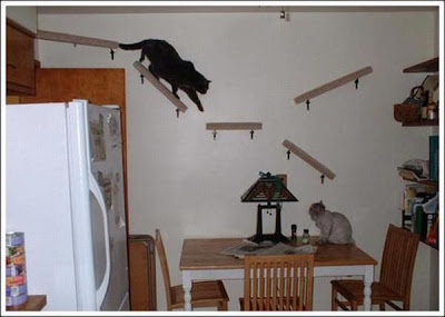 cat_walkways_12.jpg