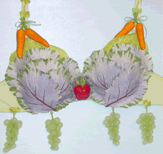 veggie-bra.gif