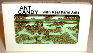 antcandy.jpg