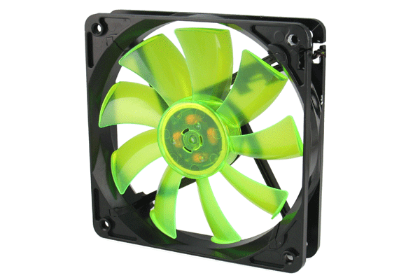 wing12_600_400s.gif