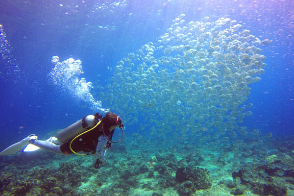 amed-diving-in-bali-fun-diving.jpg