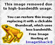 Seluruh Gambar dari Imageshack Jadi Korban Perang Ukraina