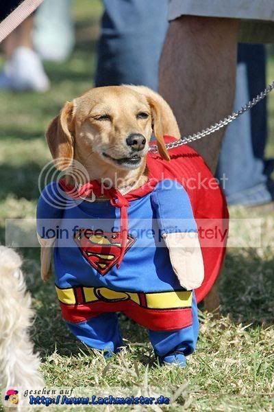 superman.jpg