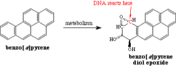 9HlBC.gif
