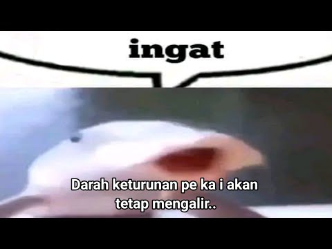 0.jpg