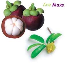 bahan+ace+maxs.jpeg