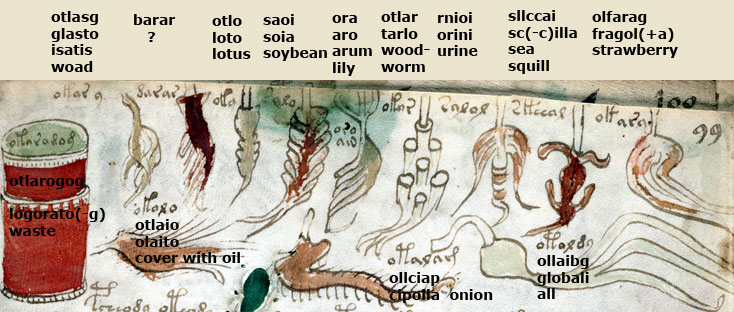 folio_99r_1.jpg