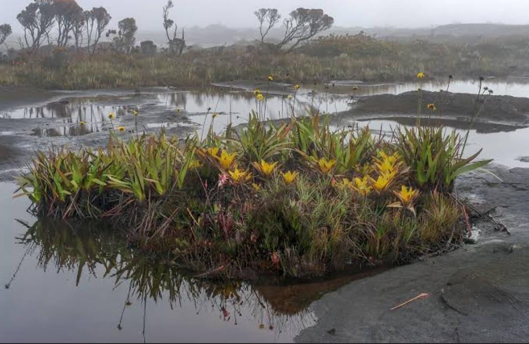 6 Tempat Dengan Pemandangan Alam yg Begitu Langka & Memukau