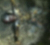 mXq1.jpg