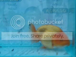 P5280022_resize_resize.jpg