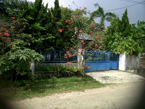 193a.jpg