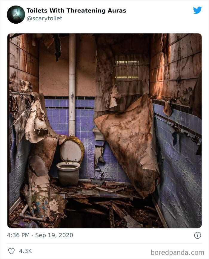 Gambaran Toilet Seram Tanpa Penunggu, dari Orang yg Hobi Mengumpulkan Foto Toilet