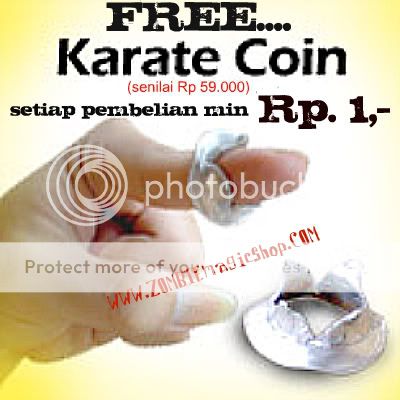 karatecoin2.jpg