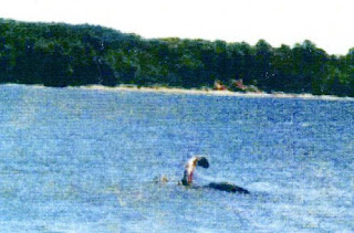 monsterquest02.jpg