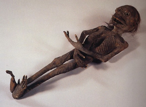 japan_mummy_kappa.jpg