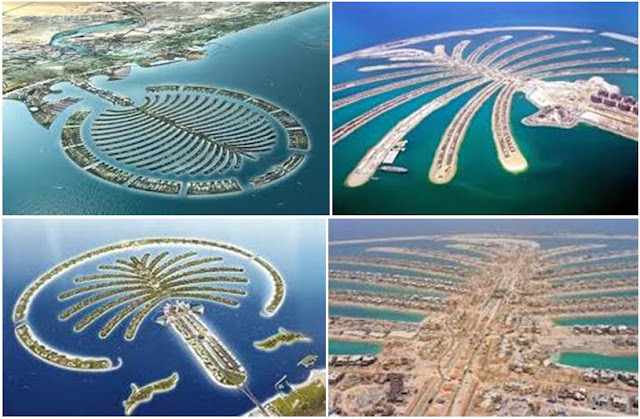 Palm+Island.JPG
