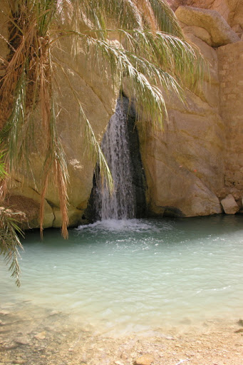 Chebika-oasis-3.jpg