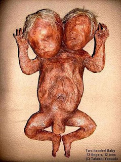 baby.jpg