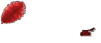 20328.gif