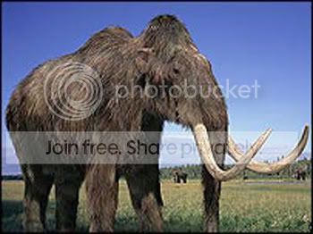 mammoth.jpg