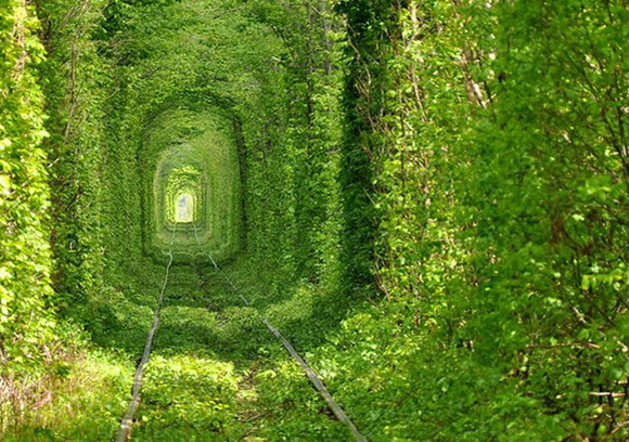 lGg1r.jpg