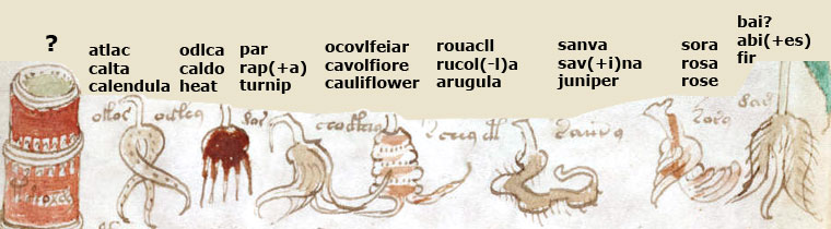 folio_99r_3.jpg