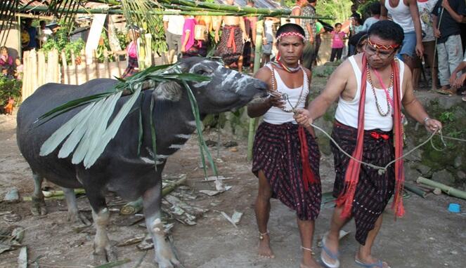 Apakah Budaya di Indonesia ini perlu Ditinggalkan?