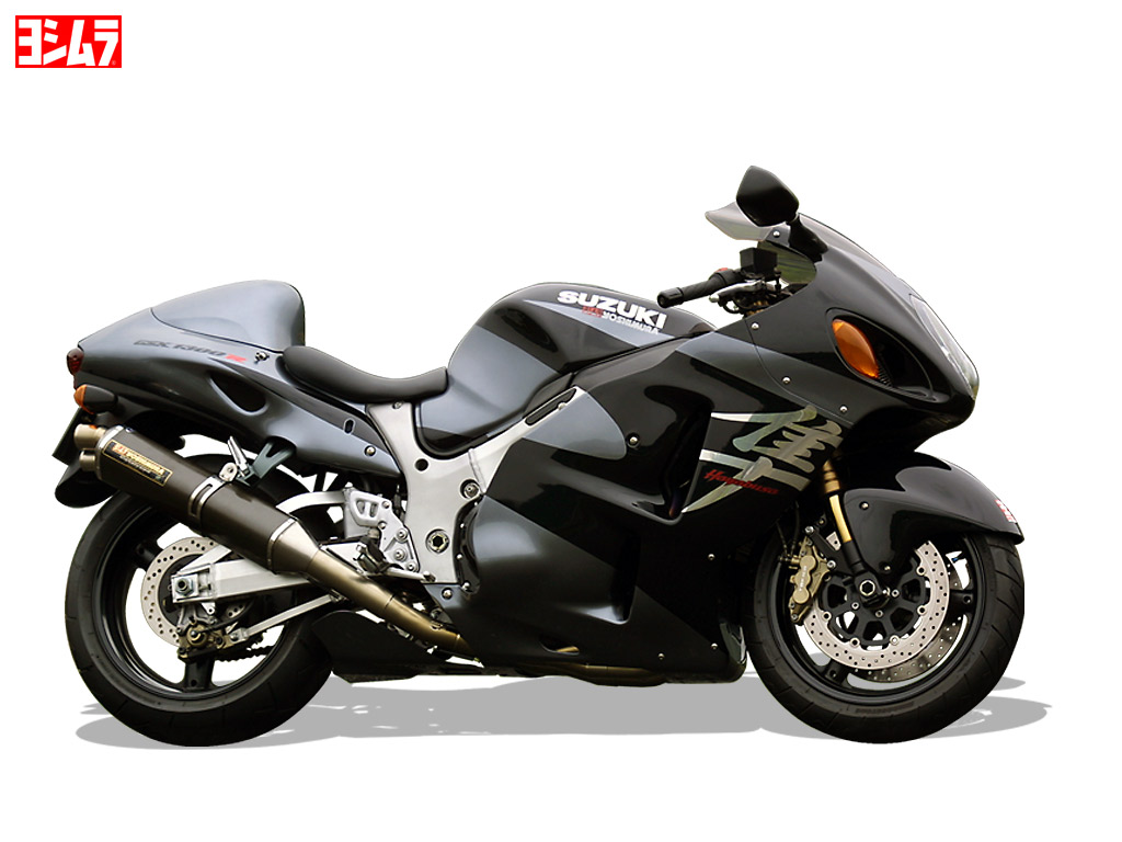 suzuki_2.jpg