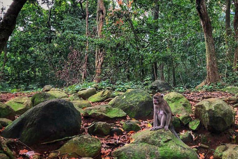 Inilah Tempat Merindu Saat ke Kampung Halaman