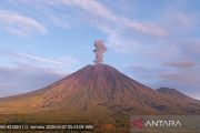 Gunung Semeru erupsi dengan tinggi letusan 800 meter di atas puncak