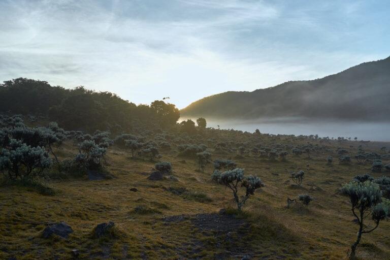 Pendakian Gunung Gede