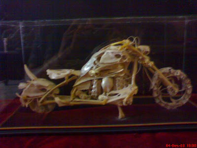 DSC00566.JPG