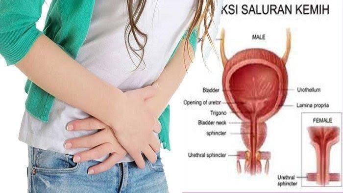 Bahaya Konsumsi Makanan Yang Bekas Ada Cicaknya