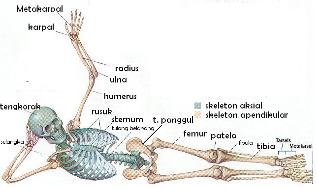 RUB1l.jpg