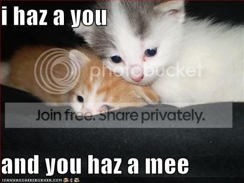 catlove.jpg